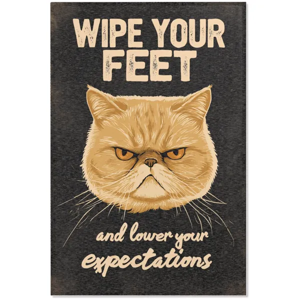 Dark rug with a scowling orange cat and the words “Wipe your feet and lower your expectations”